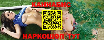 2c-b Кингисепп