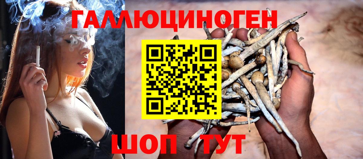 магазин  наркотиков  Галлюциногенные грибы прущие грибы  Вход с VPN  Зеленогорск 